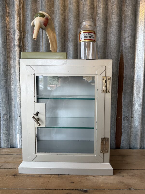 Vintage Medical Cabinet - Image 2
