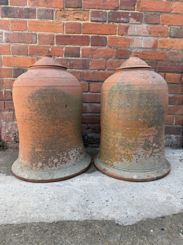 Pair of Large Whichford Pottery Terracotta Rhubarb Forcer  – 1994